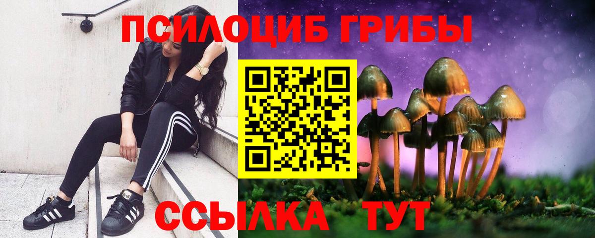 Галлюциногенные грибы прущие грибы Людиново
