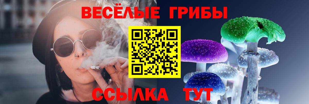 Галлюциногенные грибы Cubensis  Вход с VPN  Людиново 